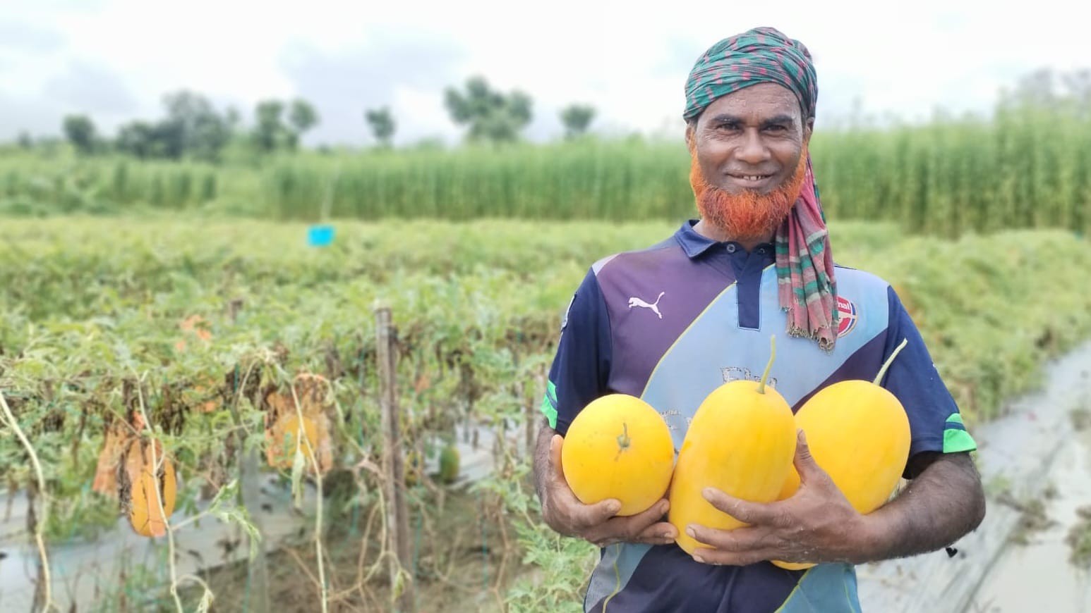 সাতক্ষীরায় অসময়ের তরমুজ চাষে নতুন সম্ভাবনা